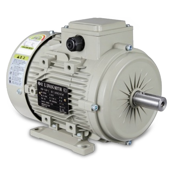 新品　ICHINOMIYA DENKI 三相誘導電動機 工業用モータ　200V k117c017_B3_01_grande.png?v=