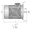 高性能モータ 三相プレミアム誘導電動機_B5 Vertical Type IK ELECTRIC
